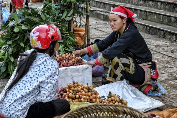 Sapa Vietnam August Red Dao Women Selling Dong Leafs Misty — Stock Photo, Image