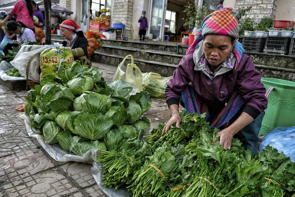 Sapa Wietnam Sierpnia Hmong Kobiet Sprzedających Owoce Warzywa Rynku Sierpnia — Zdjęcie stockowe
