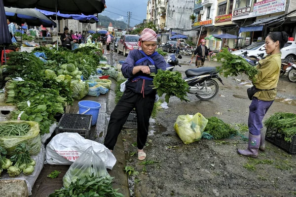 Sapa Vietnam Agosto Mujeres Hmong Vendiendo Frutas Verduras Mercado Agosto — Foto de Stock