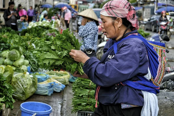 Sapa Vietnam August Hmong Women Selling Fruits Vegetables Market August — Stock Photo, Image