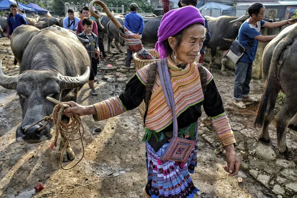 Bac Vietnam August 2018 Unidentified People Buying Selling Buffalo Sunday — Stock Photo, Image