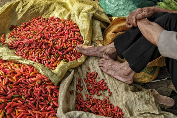 Oude Vietnamese Man Die Chili Pepers Verkoopt Bac Vietnam — Stockfoto