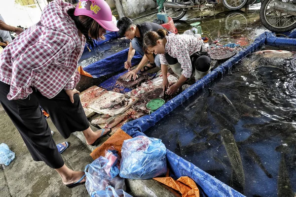 Bac Vietnam August 2018 Unidentified People Buying Selling Fish Sunday — Stock Photo, Image