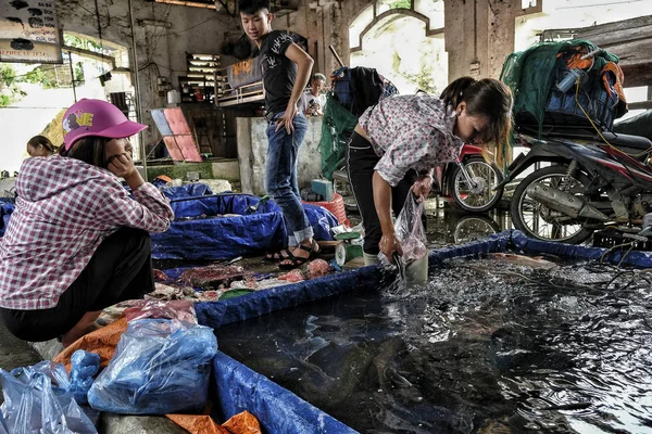 Бак Вьетнам Августа 2018 Года Неизвестные Покупают Продают Рыбу Воскресном — стоковое фото