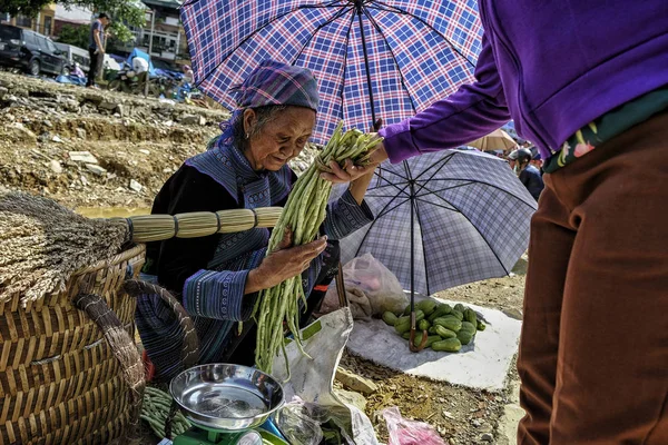 Bac Vietnam Agosto Mujeres Hmong Con Vestido Tradicional Vendiendo Verduras — Foto de Stock