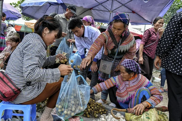 Bac Wietnam Sierpnia Kobiety Hmong Tradycyjną Sukienkę Sprzedaży Warzyw Rynku — Zdjęcie stockowe