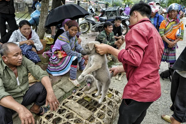 Bac Vietnam Agosto 2018 Personas Identificadas Compran Venden Perros Mercado — Foto de Stock