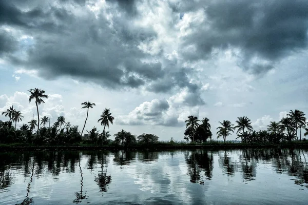 Silueta Palmeras Remanso Alleppey Kerala India — Foto de Stock