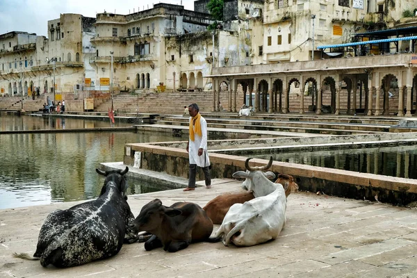 Pushkar Indien August 2020 Ein Mann Geht August 2020 Rajasthan — Stockfoto