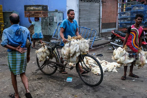 Kolkata India Octubre 2020 Hombre Transportando Pollos Bicicleta Nuevo Mercado —  Fotos de Stock