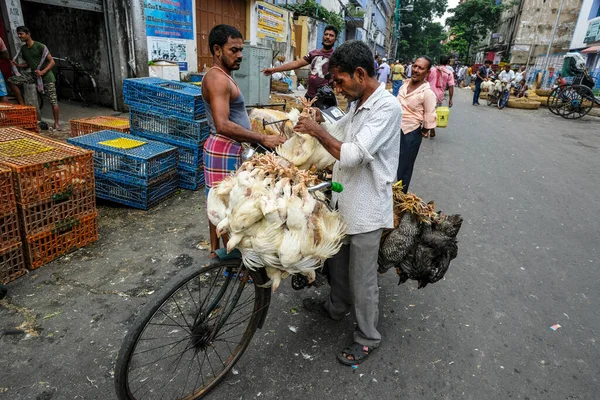 Kolkata India Octubre 2020 Hombre Transportando Pollos Bicicleta Nuevo Mercado —  Fotos de Stock