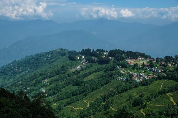 Batı Bengala Hindistan Darjeeling Manzarası — Stok fotoğraf