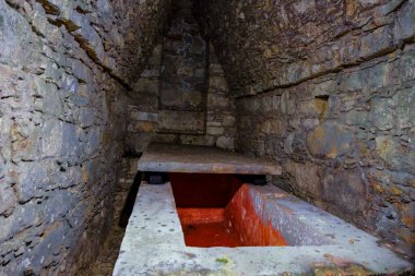 Palenque, Mexico - March 25, 2025: Palenque archaeological site in Palenque, Chiapas, Mexico.