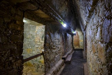 Palenque, Mexico - March 25, 2025: Palenque archaeological site in Palenque, Chiapas, Mexico.