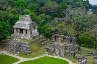 Palenque, Mexico - March 25, 2025: Palenque archaeological site in Palenque, Chiapas, Mexico.
