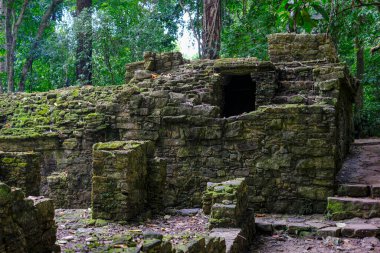 Palenque, Mexico - March 25, 2025: Palenque archaeological site in Palenque, Chiapas, Mexico.