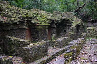 Palenque, Mexico - March 25, 2025: Palenque archaeological site in Palenque, Chiapas, Mexico.