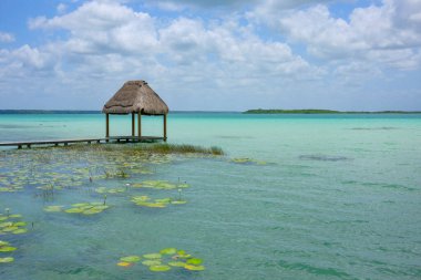 Bacalar, Mexico - May 21, 2025: Bacalar Lagoon is popularly known as the Lagoon of Seven Colors in Bacalar, Quintana Roo, Mexico.