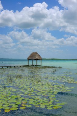 Bacalar, Mexico - May 21, 2025: Bacalar Lagoon is popularly known as the Lagoon of Seven Colors in Bacalar, Quintana Roo, Mexico.