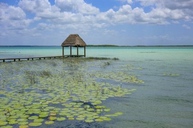 Bacalar, Mexico - May 21, 2025: Bacalar Lagoon is popularly known as the Lagoon of Seven Colors in Bacalar, Quintana Roo, Mexico.