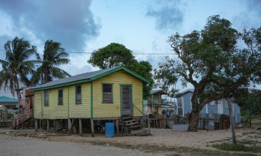 Dangriga, Belize - June 6, 2025: A wooden house next to a palm tree in Dangriga, Belize.