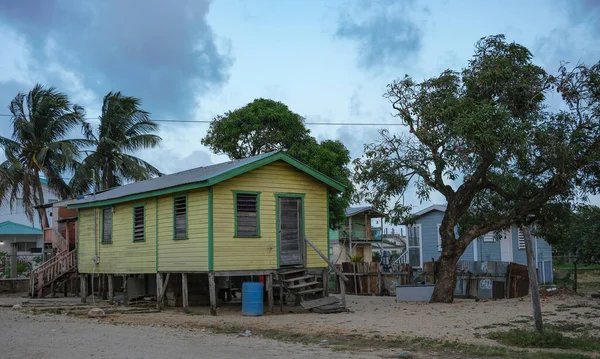 Dangriga, Belize - June 6, 2025: A wooden house next to a palm tree in Dangriga, Belize.