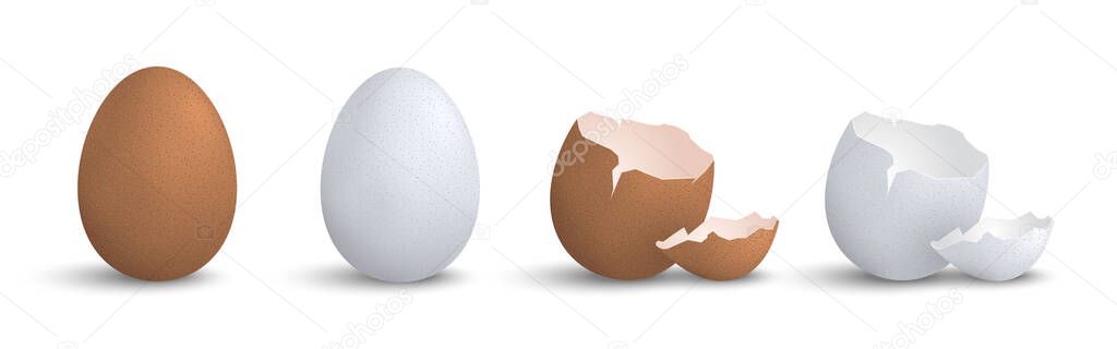 Set of 3d realistic eggs isolated eps10 vector elements, chicken egg, cracked egg decoration template