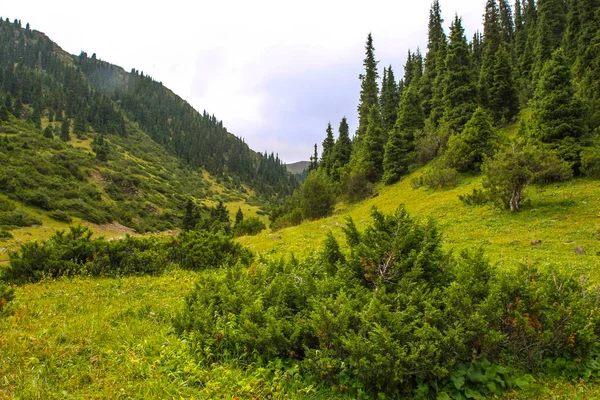 Hermoso Paisaje Valle Montaña —  Fotos de Stock