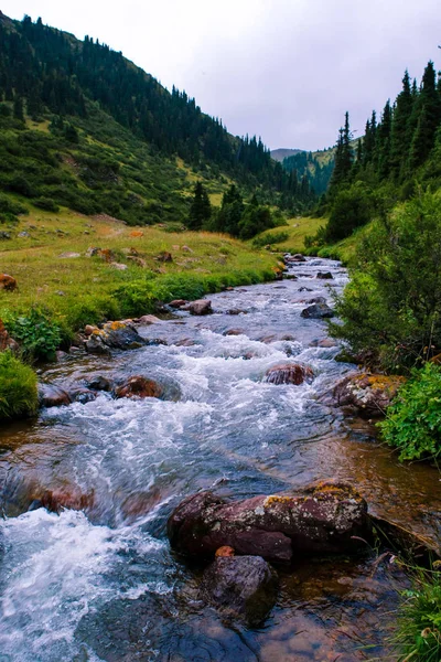 Beautiful Landscape Mountain Valley River — Stock Photo, Image