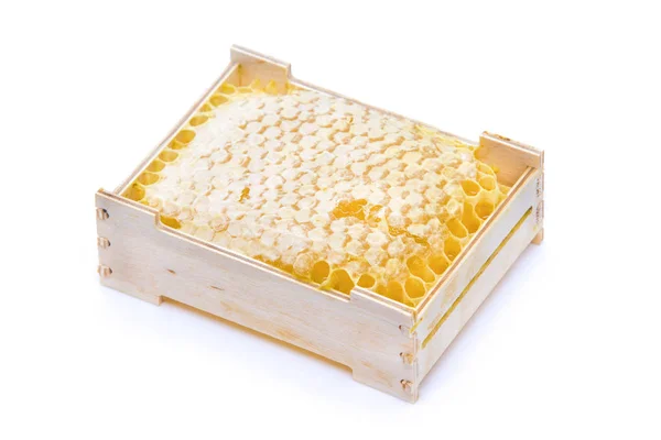 Honeycombs Favázas Fehér Alapon — Stock Fotó