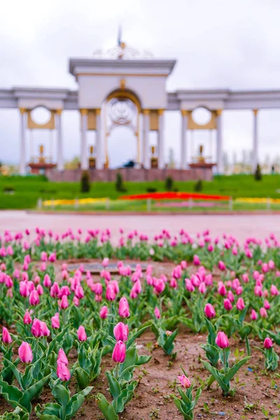 Первый Президентский Парк Алматы Весной — стоковое фото