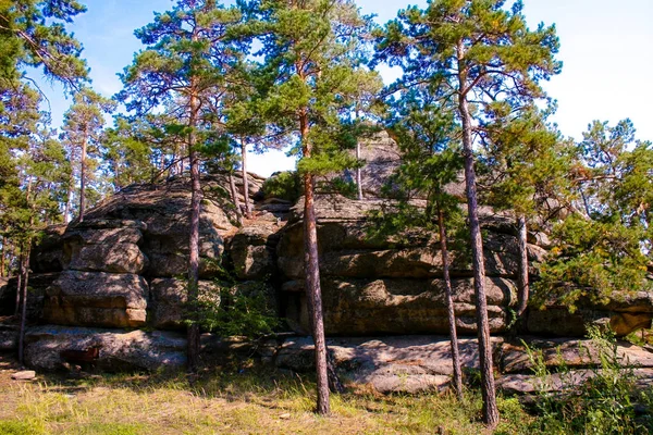 Pine Trees Stones Borovoye Park Kazakhstan — Stock Photo, Image