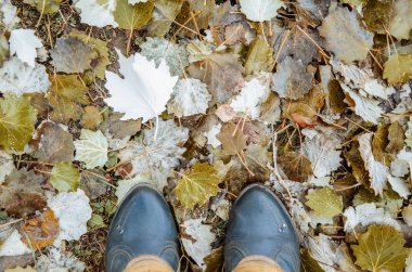 Sonbahar yapraklarının soyut arka planı. Hipster tarzı ayakkabılar sonbahar sezonu