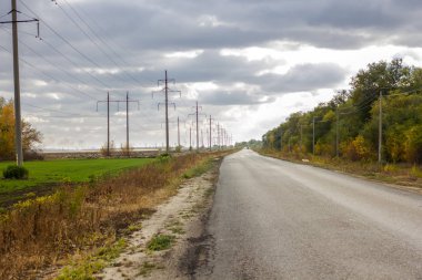 çöl yol asfalt yol perspektif geçmiş sonbahar dikimleri ağaçlar ve bulutlu bir gökyüzüne karşı yeşil sürgünler ile kış alanları gider