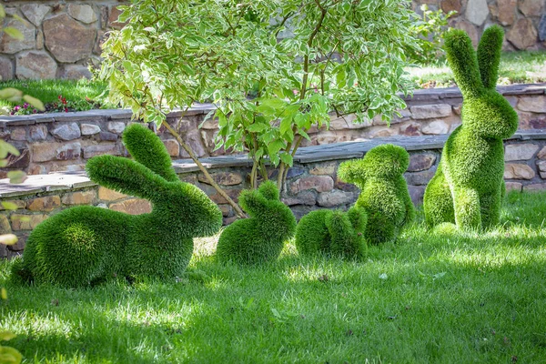 rabbits created from bushes at green animals. Topiary Gardens