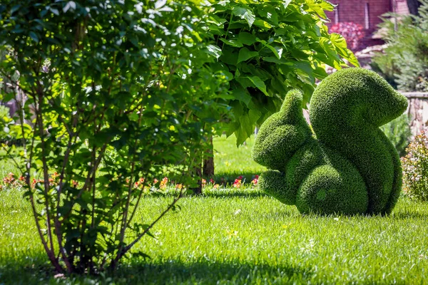 squirrel created from bushes in green animals. Topiary Gardens