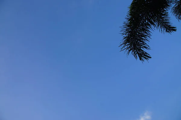 Atmosphäre Geht Nahe Der Dämmerung Blauer Himmel Weiße Wolken — Stockfoto