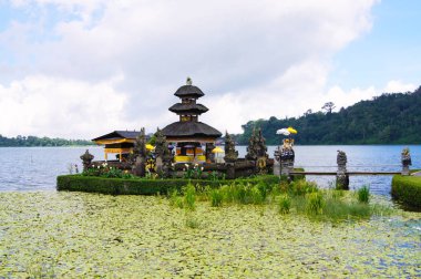 Dağlar, deniz, eski yerler, Bali, Endonezya