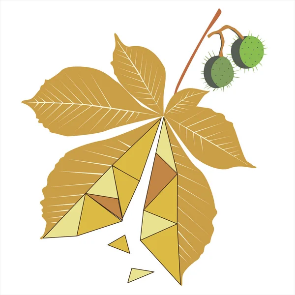 직선 삼각형을 가진 헤스트넛 나무 잎 — 스톡 벡터