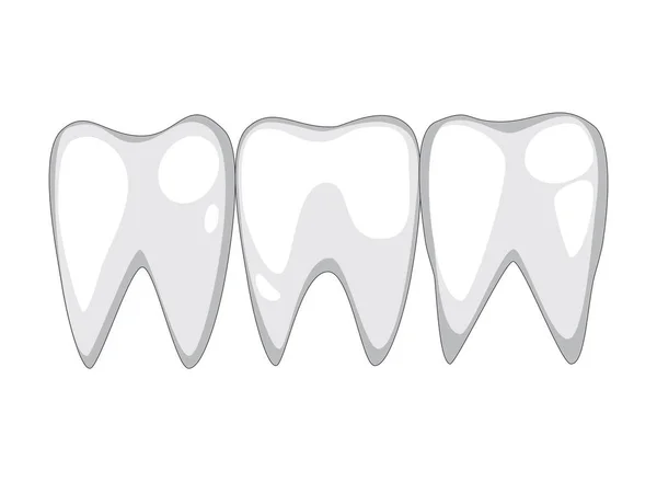 흰 바탕에 줄을 서 있는 백치 건강 한 치아 벡터 — 스톡 벡터
