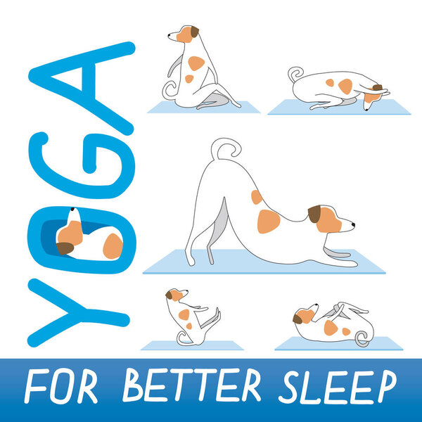 Yoga exercises for better sleep and cute character Jack Russell Terrier as a concept of asana, activity, evening yoga. Flat or outline vector stock illustration with dog doing yoga in the evening