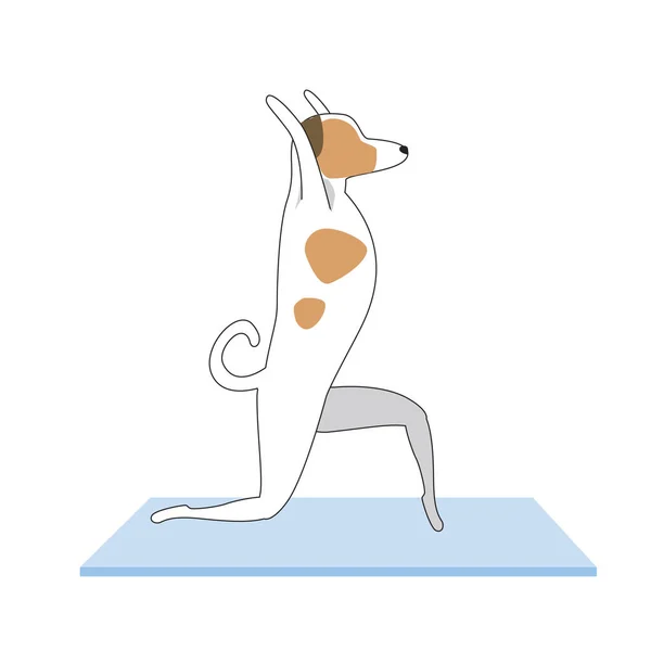Jack Russell Terrier Personaje Perro Haciendo Yoga Asana Arrodillado Alfombra — Vector de stock
