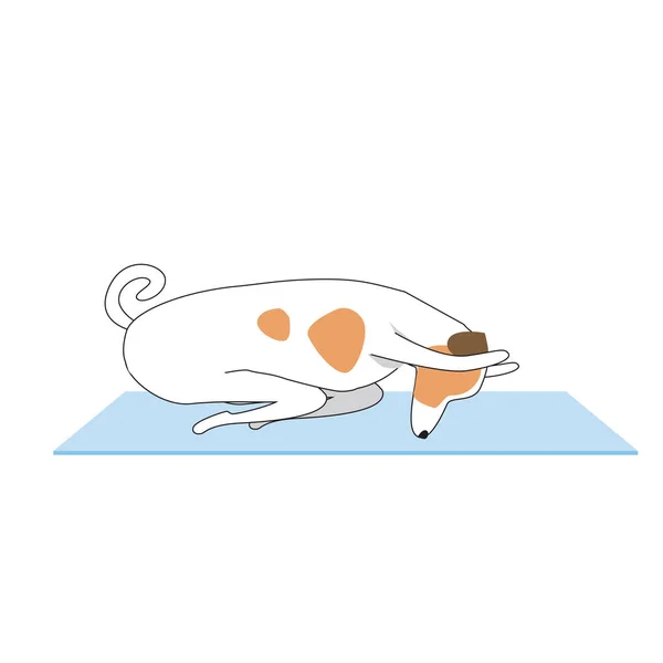 ジャック ラッセルテリアキャラクター ヨガやアーサナをしている犬やマットの上に横たわっている 精神的な実践の概念として瞑想中に犬とフラットベクトルストックイラスト — ストックベクタ