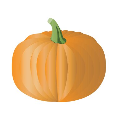 Yuvarlak balkabağı tasarım için beyaz arka planda izole edilmiş. Sonbahar sebzeli veya kabaklı vektör stok çizimi veganizm, portakal sebzesi, ekim ayında tarım hasadı konsepti olarak kabul edilir.