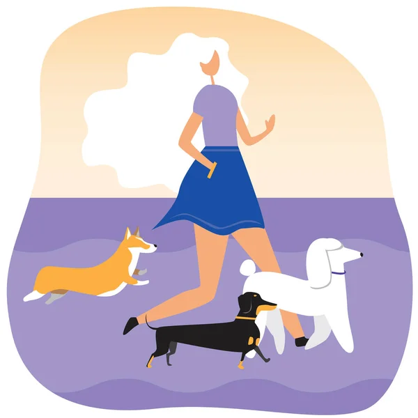 犬の育成者 ペットへの愛を保つという概念として犬と散歩中の若い女の子や女性 女の子の所有者とコーギーのフラットベクトルストックイラスト ダックスフント プール — ストックベクタ