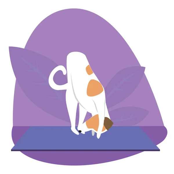 Yoga Köpek Jack Russell Terrier Spor Yoga Asana Spor Meditasyon — Stok Vektör