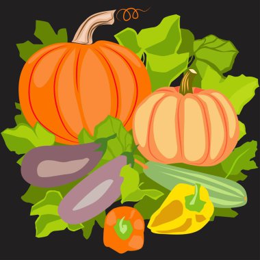 Siyah bir arka plan üzerinde yeşil yaprakları ile olgun sonbahar sebze renkli natürmort. turuncu kabak, mor patlıcan, sarı ve turuncu biber, yeşil kabak.