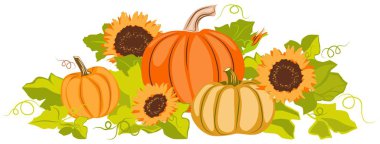 Turuncu ve sarı kabaklar ve beyaz bir arka plan üzerinde yeşil yaprakları ile sarı ayçiçeği Sonbahar renk natürmort.