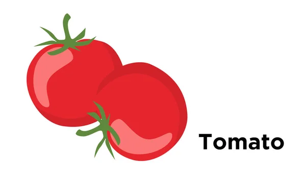 Tomaten Bio Und Gesund Saftige Reife Frische Rote Tomaten Vektorillustration — Stockvektor