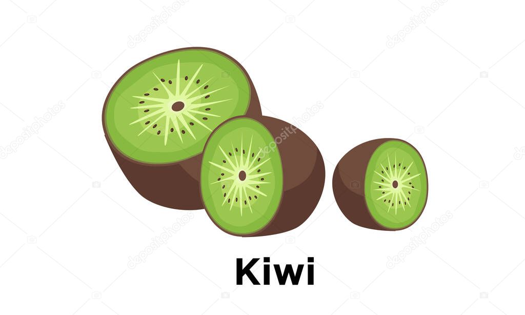 Kiwi fruit ripe, green, healthy and organic isolated on white background for cutouts. Vector Illustration.